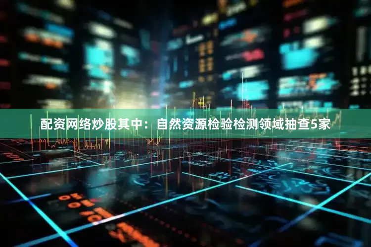 配资网络炒股其中：自然资源检验检测领域抽查5家