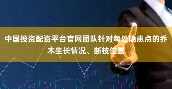 中国投资配资平台官网团队针对每处隐患点的乔木生长情况、断枝位置