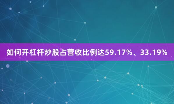 如何开杠杆炒股占营收比例达59.17%、33.19%