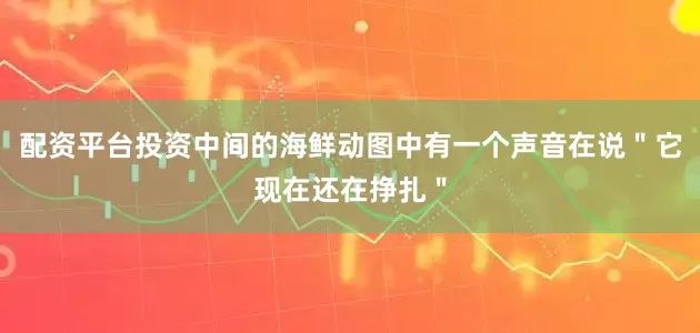 配资平台投资中间的海鲜动图中有一个声音在说＂它现在还在挣扎＂
