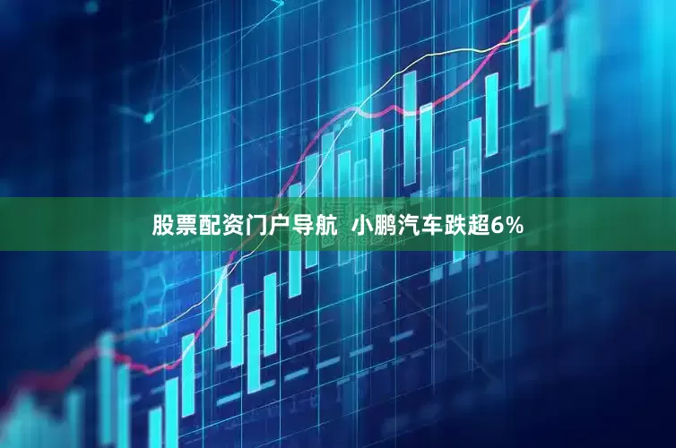 股票配资门户导航  　　小鹏汽车跌超6%